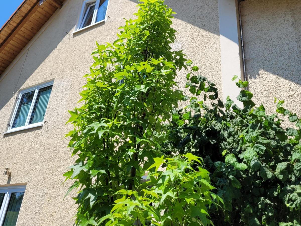 I24Rooms - Gaestezimmer Mit Eigenem Garten Legau Exterior photo